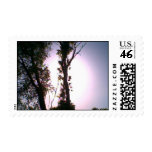 Sunrise tree 2007 postage