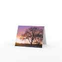 sunrise tree cards by joacreations sunrise tree cards