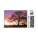 sunrise tree postage by joacreations sunrise tree postage