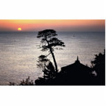 Sunrise, Uisangdae Pavilion, Naksansa (temple) Photo Cut Outs