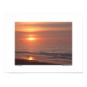 Sunrise with Seagulls posters