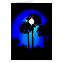sunrisepalms cards
