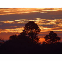 Sunrises Mornings photo sculptures