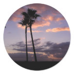 Sunrises Palm Trees Sticker