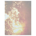 Sun's last light, in mist and trees, Australia Custom Letterhead