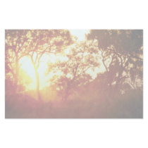 Sun's last light, in mist and trees, Australia Stationery Paper