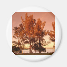suns' warm Glow Refrigerator Magnets