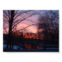Sunset5 posters