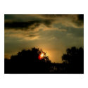 Sunset 12 posters