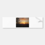 Sunset 2011 bumper sticker
