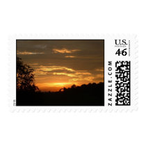 Sunset 6-11-2 postage