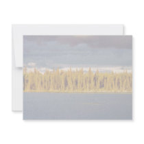 Sunset across Scoter Camp Lake invitations by animalpark Sunset across Scoter Camp Lake invitations