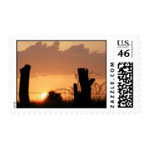 Sunset and Barbed Wire Fence Postage Stamps