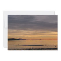 Sunset and Sea Birds Announcements