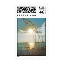 Sunset and sea oats postage