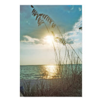 Sunset and sea oats posters