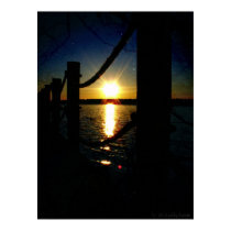 Sunset and Starry Trees posters