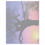 Sunset and tree, Richmond Park, London, England Custom Letterhead