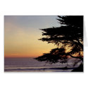 Sunset and Tree, Santa Cruz (Card) by agserm Sunset and Tree, Santa Cruz (Card)