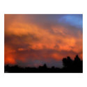 sunset and trees posters by shadowofthetree sunset and trees posters