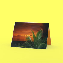 Sunset, Anna Maria Island cards