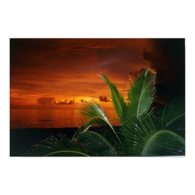 Sunset, Anna Maria Island Print by Priscilla48