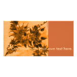 Sunset Array Photo Cards