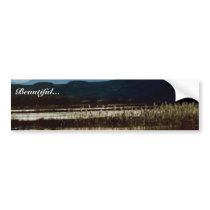 Sunset at Bosque del Apache Bumper Sticker