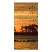 Sunset at Chincoteague Wildlife Refuge Virginia Personalized Photo Card