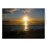 Sunset At Low Tide Greeting Card