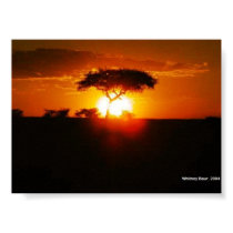 Sunset at Masai Mara posters by whitsabits Sunset at Masai Mara posters
