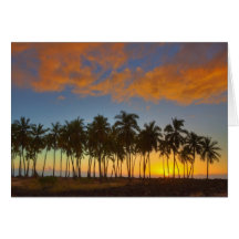 Sunset at National Historic Park Pu'uhonua o Greeting Cards