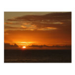 Sunset at Sea Postcard