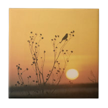 Sunset at Tewaukon National Wildlife Refuge Ceramic Tile