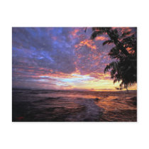 Sunset at the Beach...Postcard by 777Images Sunset at the Beach...Postcard