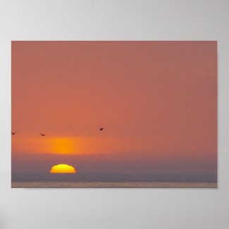 Sunset at the Beach Poster print