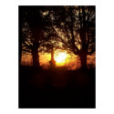 Sunset at the Cemetery posters by wandringmind Sunset at the Cemetery posters