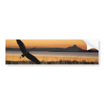 Sunset at the lake bumper stickers