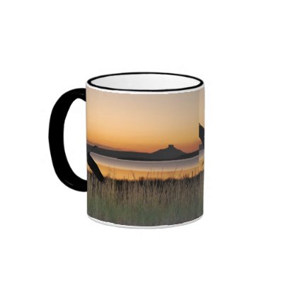 Sunset at the lake coffee mugs by TheScenicRoute