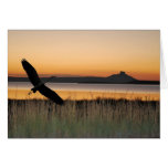 Sunset at the lake greeting cards