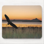 Sunset at the lake mousepads