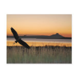 Sunset at the lake post card