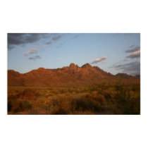 Sunset at the Organ Mountains posters