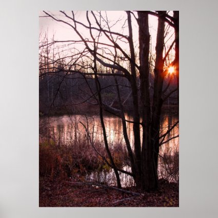 Sunset at the Pond Poster