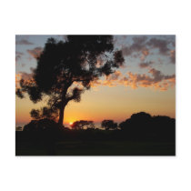 Sunset at Torrey Pines postcards