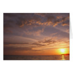 Sunset Bay V Card