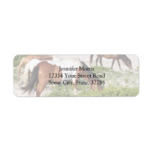Sunset Beach Horse Return Address Labels