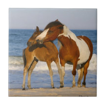 Sunset Beach Horse Tile