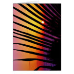 Sunset Behind Palms Greeting Cards