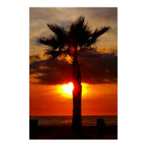 Sunset behind the Palms_ Poster_by Elenne Boothe posters